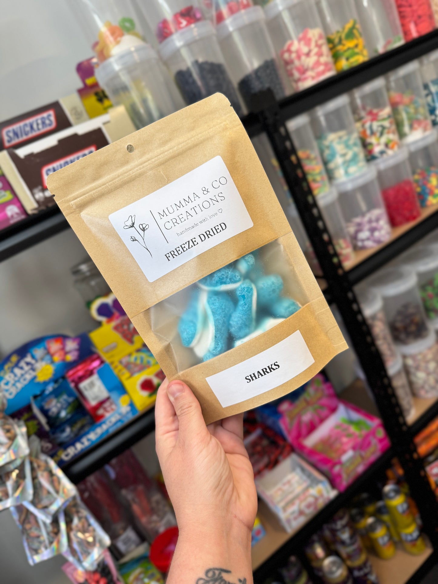 Freeze Dried Gummy Sharks